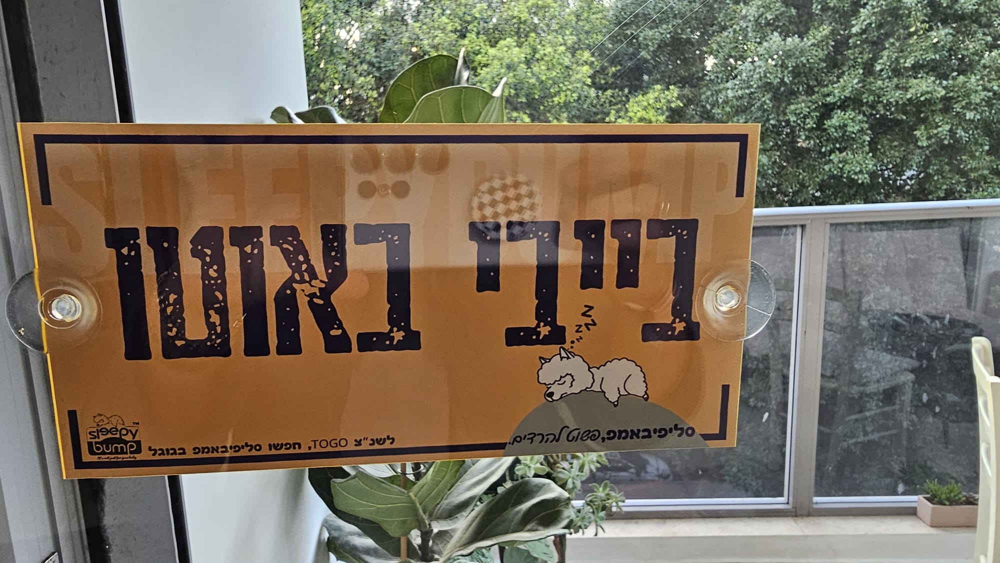 שלט מעוצב "תינוק באוטו" – תמונה 2